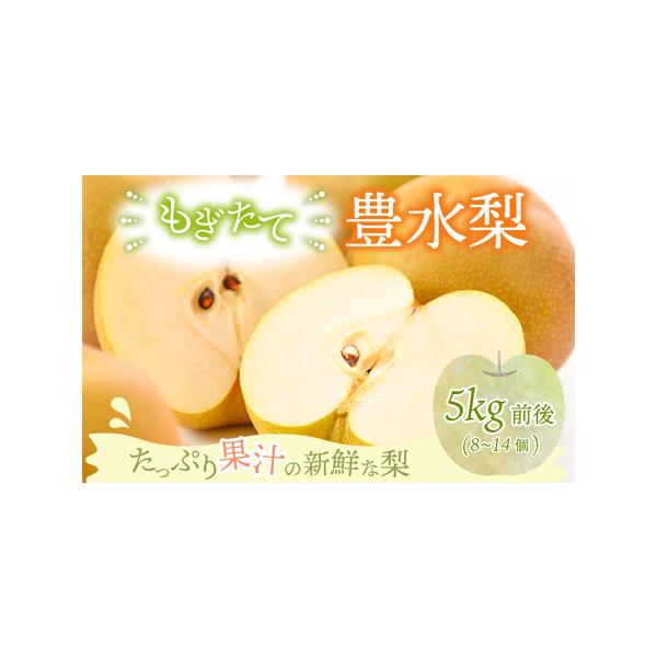 ■ 容量　■ 内容量等　豊水梨：5kg前後（8〜14個）　※サイズ・玉数のご指定は出来かねます。ご了承の上お申し込みください。　　■ 本品に含まれるアレルギー表示28品目　なし　　■ 消費期限　到着日より冷蔵で7日以内　　■ 備考　【保管方...