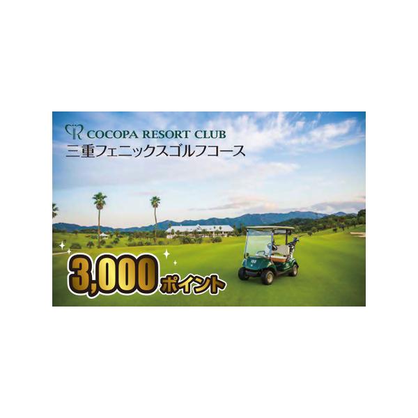 ■ 容量　ココパリゾートクラブ三重フェニックスゴルフコースでご利用いただけるポイントです。【3,000ポイント】■ 配送について　決済から20日程度お時間をいただきます。あらかじめご了承ください。　タイプ：【常温】