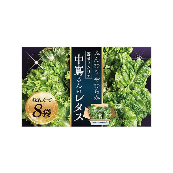 ■ 容量　ミックス3袋・サンチュ3袋・リーフレタス2袋　計8袋をお届けいたします。■ 配送について　時間指定、別送　約1週間前後で発送(年末年始・GW除く)　　沖縄・離島へ配送対応していない返礼品に対して、同区域よりご寄附いただいた場合、ま...