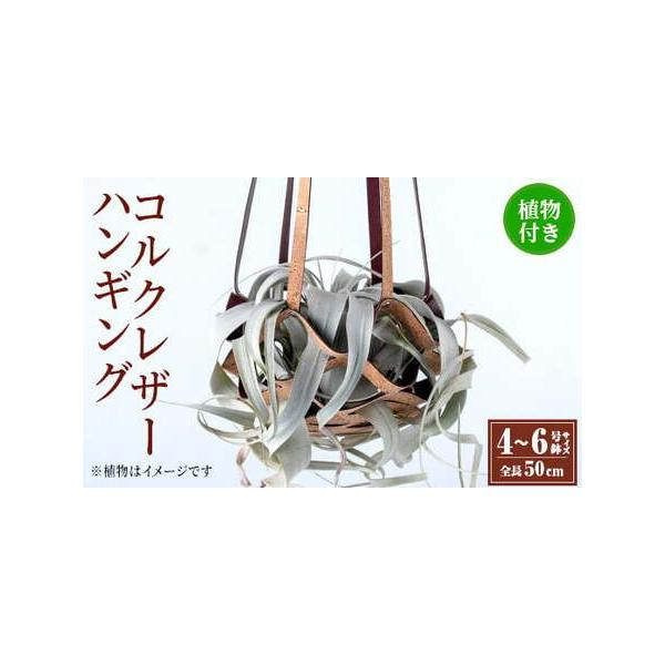 ■ 配送について　入金確認後、3ヵ月以内の発送　タイプ：【常温】