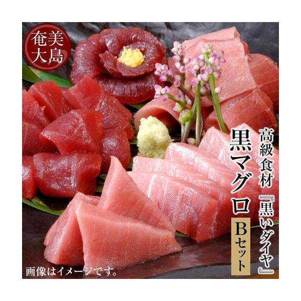 ふるさと納税 クロマグロ 鹿児島県奄美大島産高級食材『黒いダイヤ』クロマグロ Bセット 鹿児島県瀬戸内町