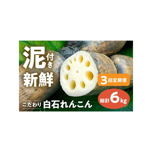 ■ 容量　■内容量　れんこん（泥付き）：2kg×3回（計6kg）　　※6-10節入り（節数は前後する場合がございます。）　※鮮度を保つため、れんこんは泥付きの状態でお送りします。新鮮なれんこんをお楽しみください。　　【賞味期限】　お届け時の...