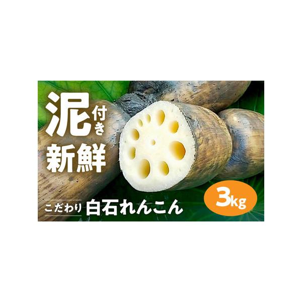 ■ 容量　■内容量　れんこん（泥付き）：3kg（L-2Lサイズ）　　※7節-12節入り（節数は前後する場合がございます。）　※鮮度を保つため、れんこんは泥付きの状態でお送りします。新鮮なれんこんをお楽しみください。　　【賞味期限】　配送から...