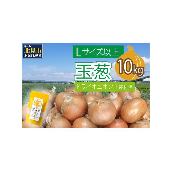 ■ 容量　玉葱 10kg（Lサイズ以上）　北見ドライオニオン 1袋■ 配送について　発送可能時期より順次発送予定　（2025年11月〜2026年2月中）　タイプ：【常温】