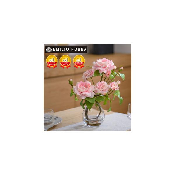 ■ 容量　プリマローズpk-L TTNTS64200　1個：横幅 34cm× 奥行 20cm× 高さ 36cm (※多少の誤差はございます)　　タイプ：【常温】