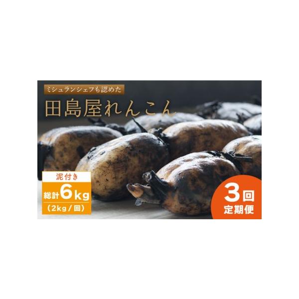 ■ 容量　れんこん（泥付き）：2kg×3回（計6kg）　　                         ※6-12節入り（節数は前後する場合がございます。）　※鮮度を保つため、れんこんは泥付きの状態でお送りします。新鮮なれんこんをお楽し...
