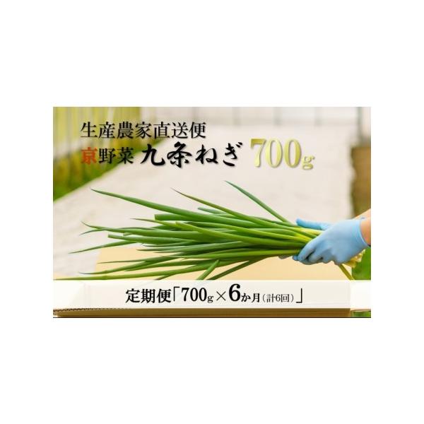 ■ 容量　京野菜・九条ねぎ　約700g×6回　京都府産　　タイプ：【冷蔵】【定期】