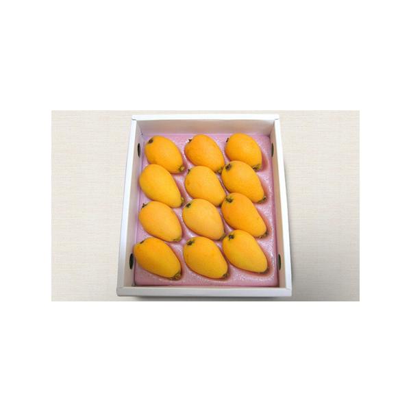 ふるさと納税 なつたよりびわ（約500g）【離島エリア配送不可】 果物類 フルーツ びわ 枇杷  香川県丸亀市