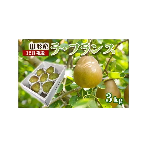 ■ 容量　【令和8年産】　ラ・フランス 秀品 約3kg　サイズ・玉数：6〜9玉・3L〜6L■ 配送について　【申込期日】2026年12月15日まで　【発送期間】2026年12月01日頃〜2026年12月31日頃　※状況により配送時期が前後す...