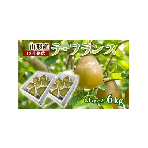 ■ 容量　【令和8年産】　ラ・フランス 秀品 約6kg(3kg×2箱)　サイズ・玉数：12〜18玉・3L〜6L■ 配送について　【申込期日】2026年12月15日まで　【発送期間】2026年12月01日頃〜2026年12月31日頃　※状況に...