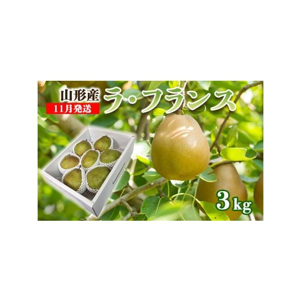 ■ 容量　【令和8年産】　ラ・フランス 秀品 約3kg　サイズ・玉数：6〜9玉・3L〜6L■ 配送について　【申込期日】2026年11月15日まで　【発送期間】2026年11月01日頃〜2026年11月30日頃　※状況により配送時期が前後す...