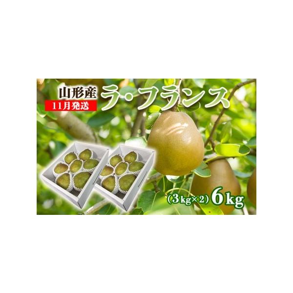 ■ 容量　【令和8年産】　ラ・フランス 秀品 約6kg(3kg×2箱)　サイズ・玉数：12〜18玉・3L〜6L■ 配送について　【申込期日】2026年11月15日まで　【発送期間】2026年11月01日頃〜2026年11月30日頃　※状況に...