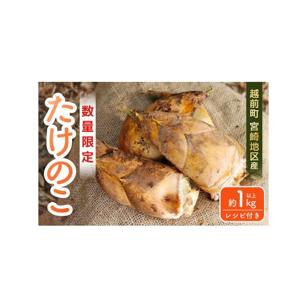 ■ 容量　■内容量等　【1】越前町産たけのこ 約1kg　※たけのこの本数はお選びいただけません。　産地：越前町　【2】アク抜き用のぬか付き■ 配送について　■申込期日：令和8年4月30日23時59分　■発送期日：【先行予約・2026年4月中...