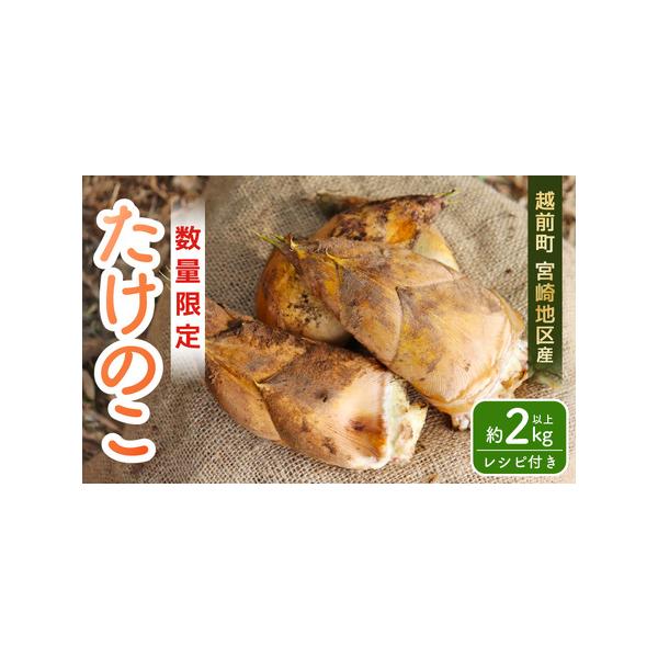 ■ 容量　■内容量等　【1】越前町産たけのこ 約2kg　※たけのこの本数はお選びいただけません。　産地：越前町　【2】アク抜き用のぬか付き■ 配送について　■申込期日：令和8年4月30日23時59分　■発送期日：【先行予約・2026年4月中...