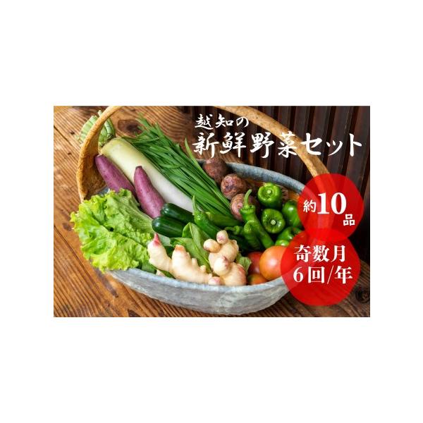 ■ 容量　季節の野菜　1回あたり約10品以上　タイプ：【冷蔵】