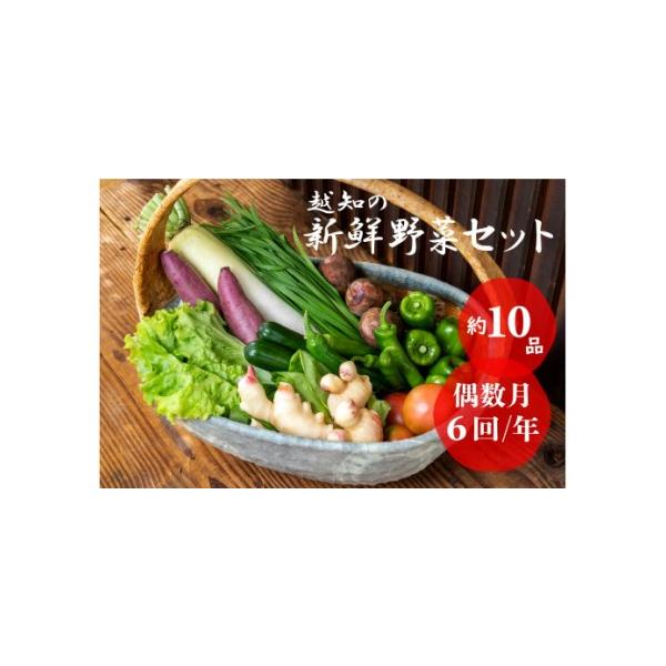 ■ 容量　季節の野菜　1回あたり約10品以上■ 配送について　決済から14日前後で発送 　（※ご好評につき発送までにお時間がかかる場合がございます。ご了承ください。）　タイプ：【冷蔵】