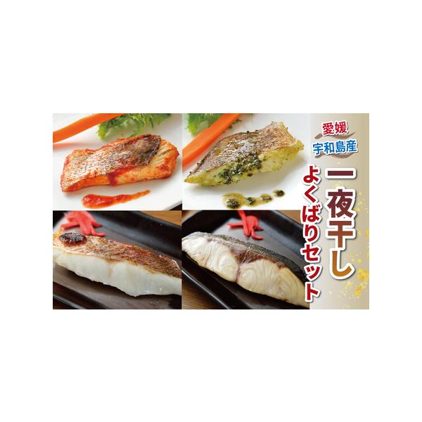 ■ 容量　真鯛の一夜干し約70g×2袋、　カンパチの一夜干し約80g×2袋、　アジの開き約100g×2枚　真鯛のバジルソース約70g×2袋、　真鯛のトマトソース約80g×2袋、　真鯛の麦味噌漬け約80g×2袋、　真鯛の藻塩麹漬け約80g×2...