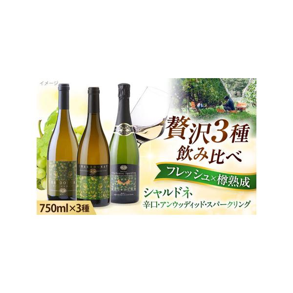 シャルドネ　セット ふるさと納税 ワイン シャルドネセット 計3本 [AICS043] 島根県雲南市