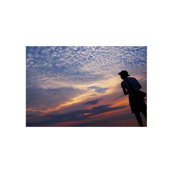 ■ 容量　ロッド＋リール＋餌　1セット■ 配送について　発送物はございません。概要記載の連絡先へご予約下さませ。　タイプ：【常温】