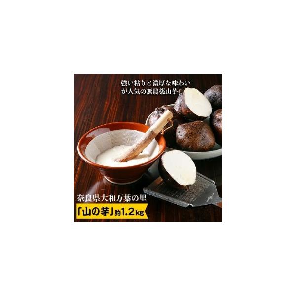 ■ 容量　※上記に記載■ 配送について　お申込みから1週間程度　タイプ：【常温】