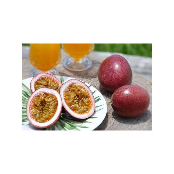 ■ 容量　パッションフルーツ 化粧箱12個入り（L玉）×6箱　食品の梱包方法：化粧箱入り・贈答用　旬の時期：6月上中旬〜７月中旬頃　保存方法：涼しい一定温度のところで常温保存　産地（都道府県）：国産（鹿児島県　奄美大島）　販売者：たけはら農...