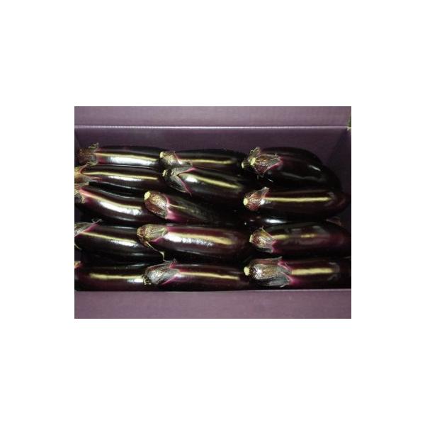 ■ 容量　なす  5kg■ 配送について　2025年11月〜6月　タイプ：【常温】【冷蔵】