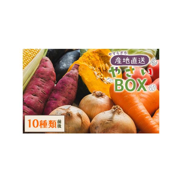 ■ 容量　■野菜１０種類前後　以下野菜のなかから店長のお任せで旬のお野菜をお届けいたします。　トマト、フルーツトマト、ミニトマト、キュウリ、ナス、ゴーヤー、ほうれん草、生姜、サツマイモ、エダマメ、オクラ、ニラ、カボチャ、大根、ジャガイモ、キ...