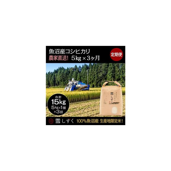ふるさと納税 【令和8年産】定期便！魚沼産コシヒカリ【合計15kg】毎月5kg×3回 お米 ブランド米 銘柄米 精米 白米 ご飯 おにぎり お弁当 .. 新潟県十日町市