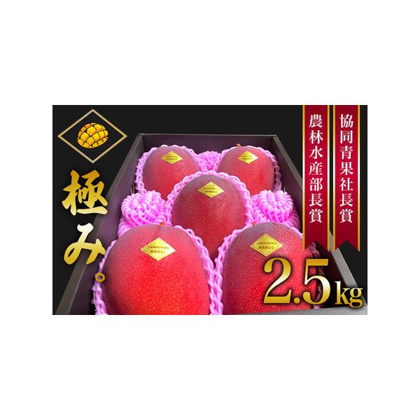 ■ 容量　アーウィンマンゴー極　2.5kg(5玉〜6玉)贈答品※玉数の指定はできません。ご了承下さい。■ 配送について　2026年6月下旬〜7月下旬頃予定　タイプ：【冷蔵】