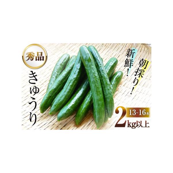 ■ 容量　■内容量　きゅうり 2kg以上(13〜16本)　※ニーナZ、まりんの2品種のうち、いずれかをお送りします。　　■原材料名　きゅうり (ニーナZ、まりん)　　■消費期限　商品到着後、約1週間程度　※到着後は、お早めにお召し上がりくだ...