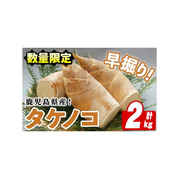 ■ 容量　タケノコ：2kg■ 配送について　2026年3月以降順次発送予定　タイプ：【冷蔵】