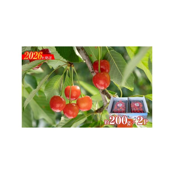 ■ 容量　400ｇ■ 配送について　発送期日：2026年6月中旬から2026年6月下旬発送予定　タイプ：【冷蔵】