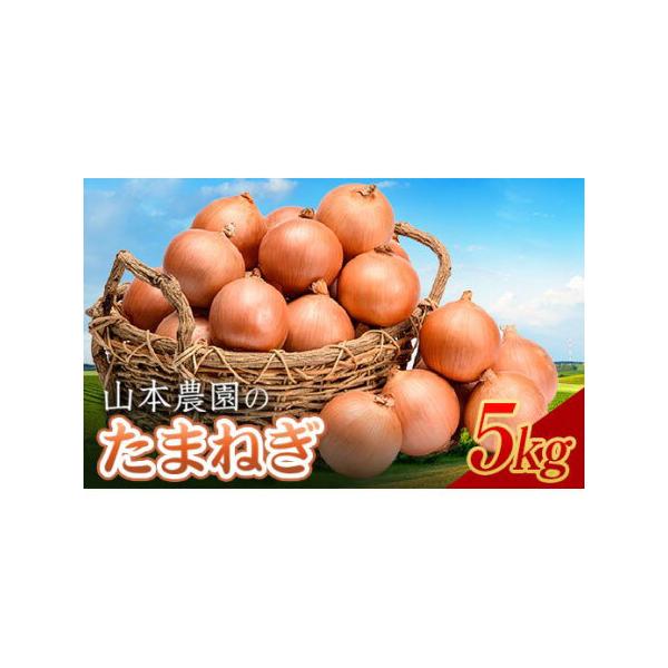 ■ 容量　北海道産玉ねぎ L?L大サイズ前後 5kg■ 配送について　換気の為に段ボールは、PPバンドで閉じた状態にて発送いたします　タイプ：【常温】