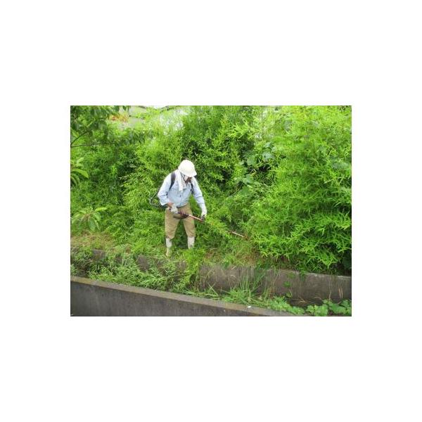 ■ 容量　〇 浜田市シルバー人材センター　3,000円分サービス■ 配送について　寄付者様のご要望に対応します。　対応できない作業もございますので、必ず申込前に浜田市シルバー人材センターにお問い合わせください。