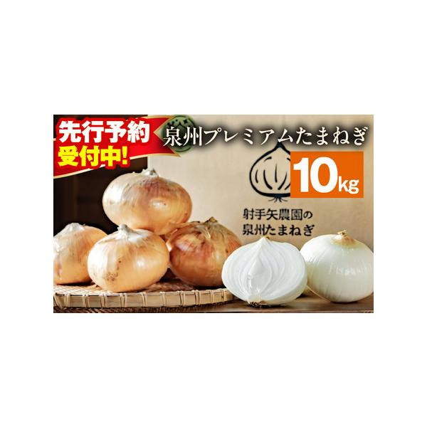 ■ 容量　泉州プレミアムたまねぎ 10kg（25玉前後）　※画像はイメージです。■ 配送について　2026年5月〜7月の期間で寄附受付順に発送予定　タイプ：【常温】