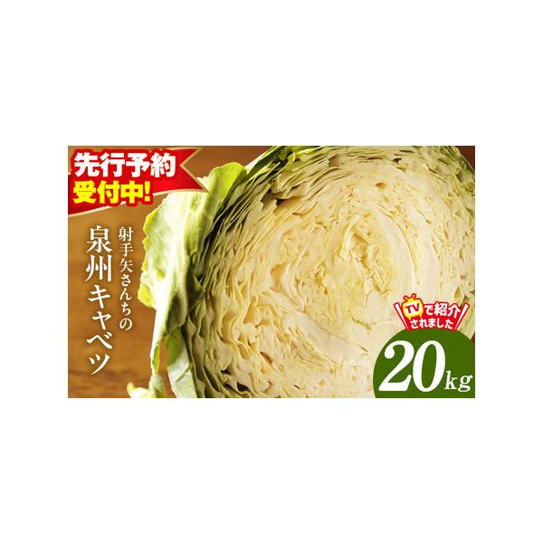 ■ 容量　泉州キャベツ 20kg　※画像はイメージです。■ 配送について　2026年1月〜3月の期間で寄附受付順に発送予定　タイプ：【常温】