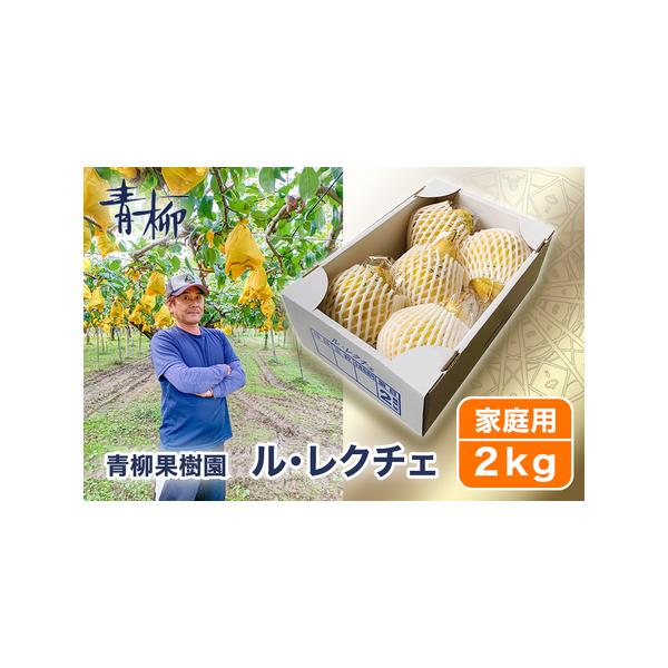 ふるさと納税 【2026年先行予約】新潟特産 幻の洋梨ル・レクチェ 家庭用 2kg（5〜7玉）《11月下旬〜順次発送》 青柳果樹園 新潟県加茂市