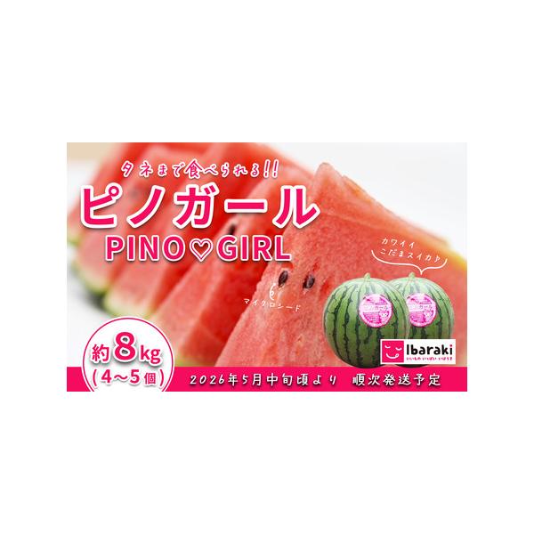 ■ 容量　茨城県産ピノガール　約8kg（4〜5個）　※重量が約8kgとなるように4〜5個お届けいたします。個数の指定は出来ません。■ 配送について　2026年5月中旬〜6月中旬ごろに順次発送　※天候などの影響や育成具合により、発送時期が変動...