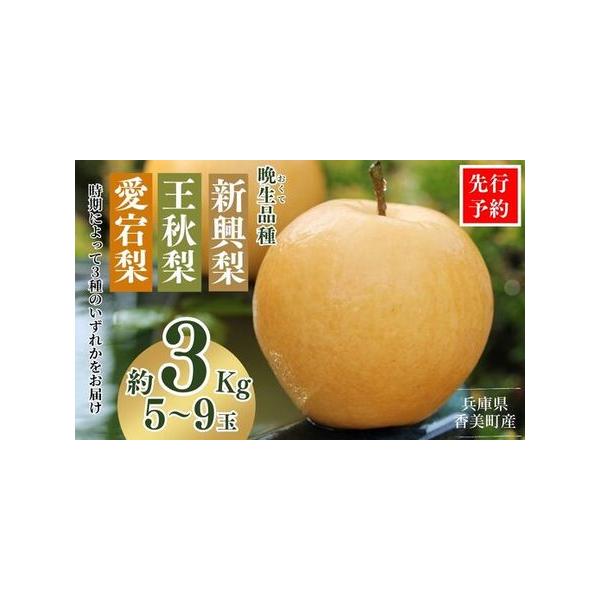 ■ 容量　【内容】　晩生品種（新興梨、王秋梨、愛宕梨）のいずれか　約3kg（5〜9玉）　※基本は大玉をお届けしますが、天候に左右されて小玉となる場合がございます。なお、サイズ規格の違いのみで、品質、総重量に相違はございません。 　※時期によ...