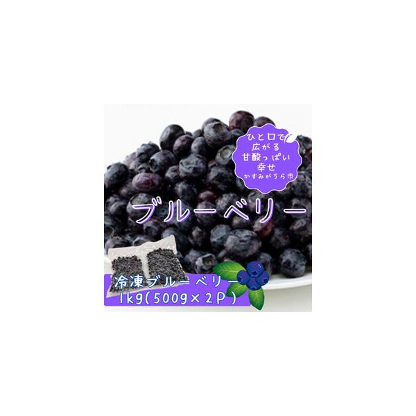 ■ 容量　※上記に記載■ 配送について　2026年1月より順次発送　タイプ：【冷凍】