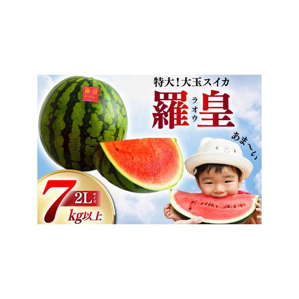 ■ 容量　■容量　2L〜3Lサイズ×1玉　(7.0〜10.0kg程度/玉)　　■賞味期限　収穫日より7日程度（冷暗所で保存）　※到着後は、お早めにお召し上がりください。　　■事業者　吉田農園■ 配送について　2026年5月下旬〜2026年6...