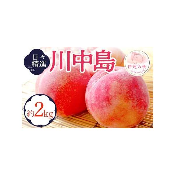 ■ 容量　【容量】　川中島白桃 2kg (5〜9玉)　※収穫状況により発送時期が前後するため、前もって発送日を確定しにくい状況について何卒ご理解いただければ幸いです。　※沖縄・離島へのお届けはできかねます。　※桃はとてもデリケートな果物です...