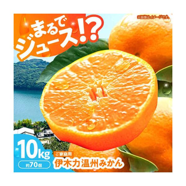 ふるさと納税 みかん10kg AHBD001 伊木力みかん 長崎県諫早市 : ふる