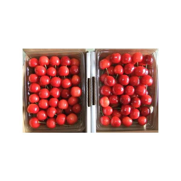 ■ 容量　佐藤錦　１ｋｇ（５００ｇ×２パック）　Ｌサイズ以上　秀品　※サイズの指定はできません。　※天候により出荷時期や規格（数、サイズ、品種等）を変更する場合がございます。■ 配送について　２０２６年６月中旬〜６月下旬迄　※ご不在日が多く...