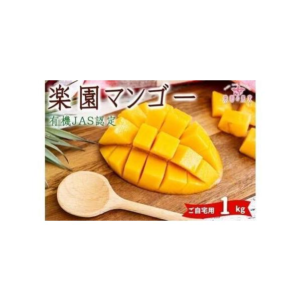 ■ 容量　有機マンゴー1kg（2〜3玉）　※玉数の指定はできません。■ 配送について　2026年6月下旬頃より収穫次第、順次発送致します。　タイプ：【冷蔵】