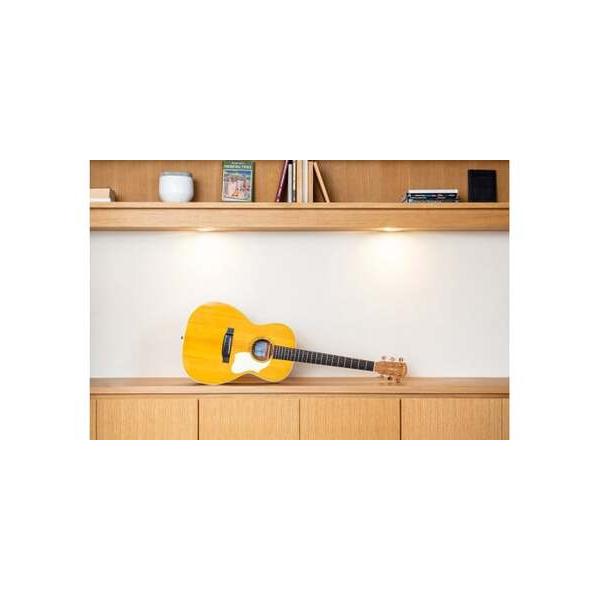 ■ 容量　1本　(ハードケース・ギグケース付き)■ 配送について　5~6ヶ月　※在庫切れの場合、納期をご連絡致します。　タイプ：【常温】