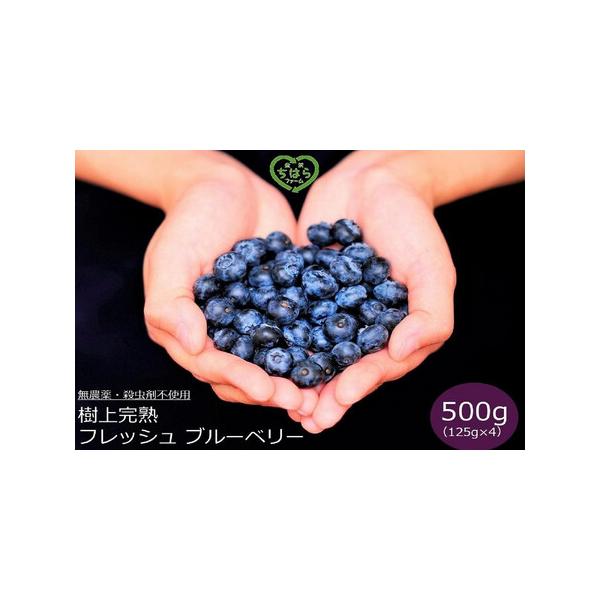 ■ 容量　125ｇパック×4　【賞味期限【保存方法】】　発送より1週間　【冷蔵庫にて保存してください】■ 配送について　2026年7月1日〜2026年8月31日頃　準備でき次第、順次発送いたします　※北海道・沖縄・離島への配送はできません　...