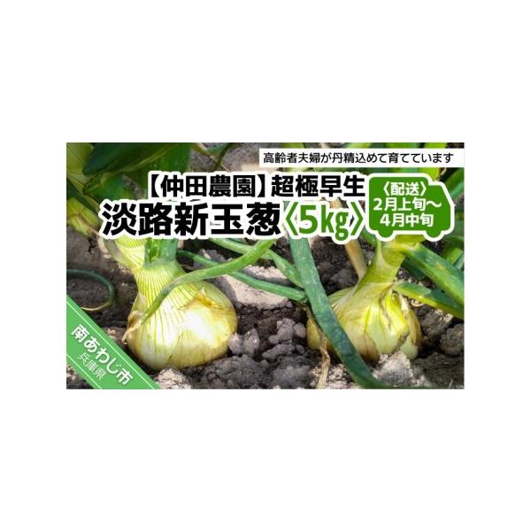 ■ 容量　新玉ねぎ（超極早生）5kg■ 配送について　準備でき次第、順次発送します。　※長期不在、転居等でお受け取りいただけない場合、再送はいたしかねます。ご了承ください。　タイプ：【常温】