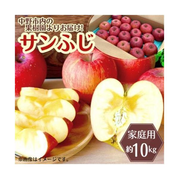 ふるさと納税 ◆2026年12月中発送◆りんご サンふじ家庭用 約10kg(24〜42玉)【1494948】 長野県中野市