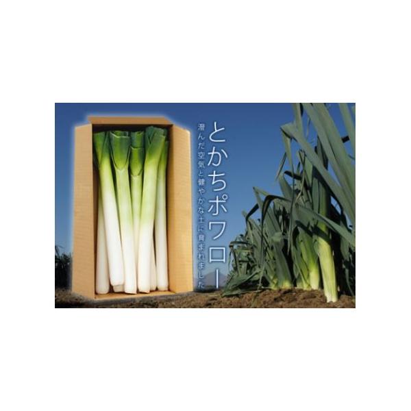 ■ 容量　とかちポワロー（リーキ、ポロネギ）Lサイズ　3kg■ 配送について　2025年11月上旬より順次発送　タイプ：【常温】